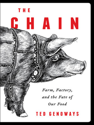 cover image of The Chain